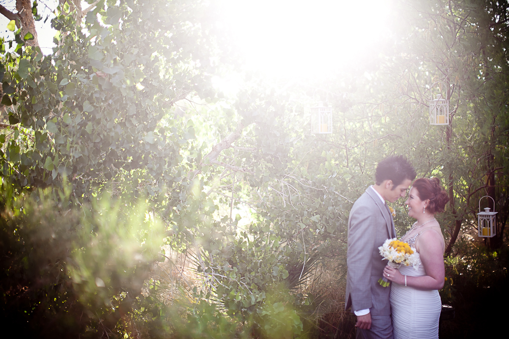 Vow Renewal at Springs Preserve