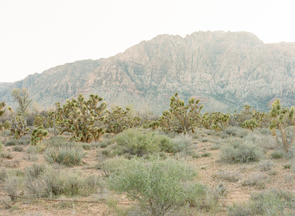 Las Vegas Desert Red Rock