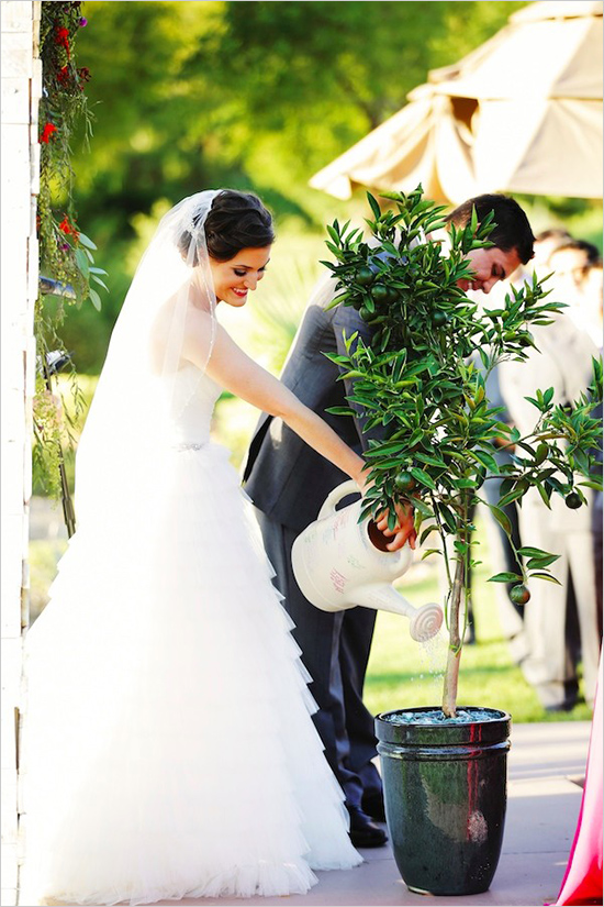 modern vegas wedding tree planting ceremony