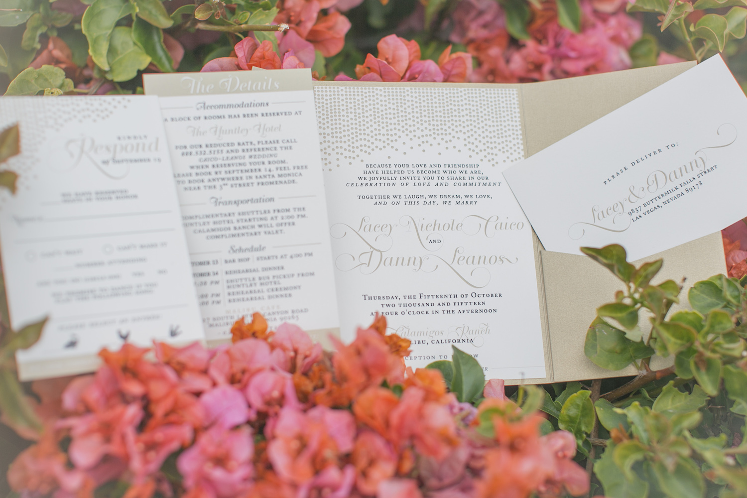 Fun and Lavish Wedding Invitations