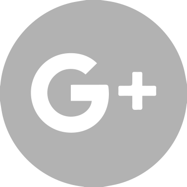 Google+ logo