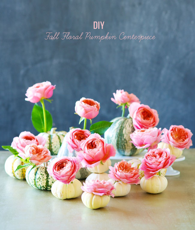 DIY Fall Centerpiece